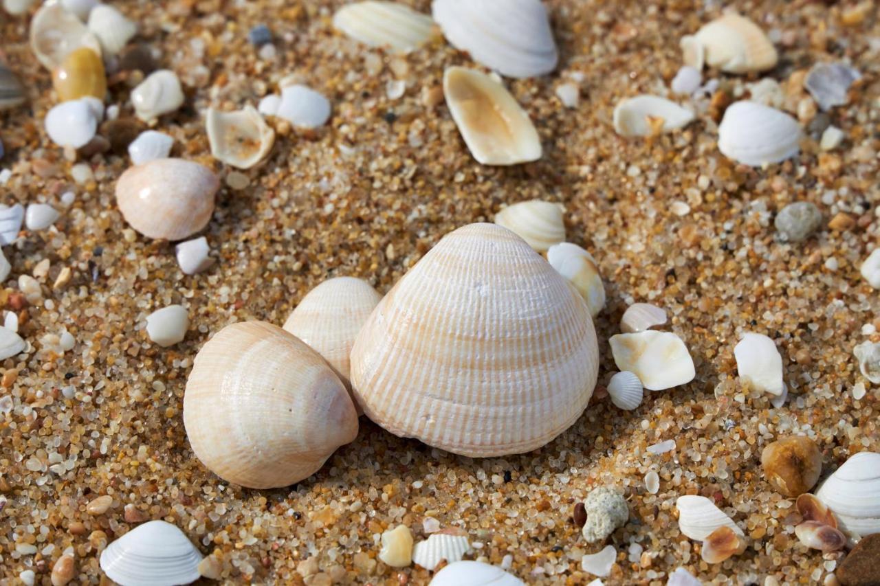 Apart@Costasantoandre Beach ซังติอาโก โด กาเซ็ง ภายนอก รูปภาพ